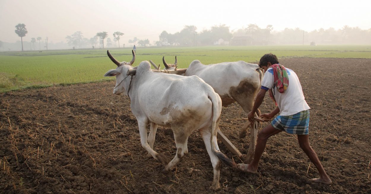 Tous les villages d&rsquo;Inde électrifiés d&rsquo;ici 2018 ?