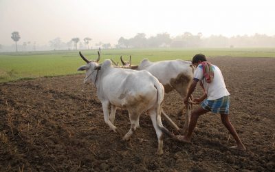 Tous les villages d&rsquo;Inde électrifiés d&rsquo;ici 2018 ?