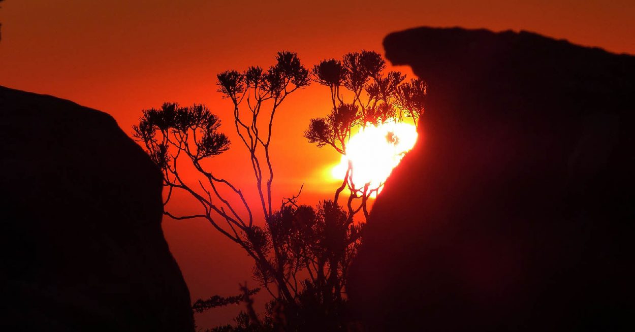 L’Africa Power Vision veut électrifier 80 % du continent