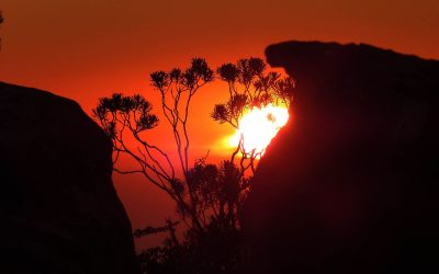 L&rsquo;Africa Power Vision veut électrifier 80 % du continent