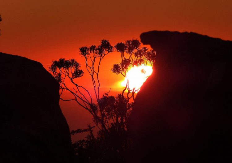 L&rsquo;Africa Power Vision veut électrifier 80 % du continent