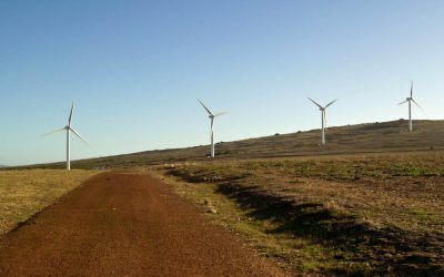 Afrique du Sud : le parc éolien de Noupoort est lancé