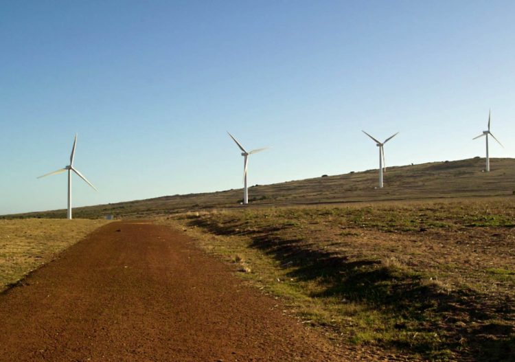 Afrique du Sud : le parc éolien de Noupoort est lancé