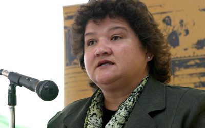 Nucléaire sud-africain : l&rsquo;Eskom prépare le terrain de la recherche