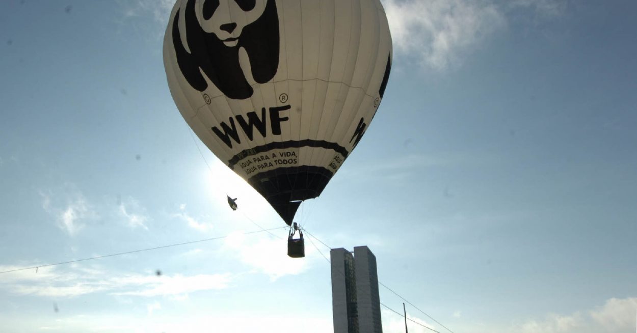 WWF se félicite d’une transition énergétique « en cours »