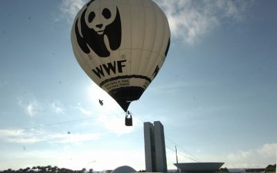WWF se félicite d&rsquo;une transition énergétique « en cours »
