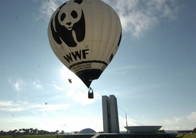 WWF se félicite d&rsquo;une transition énergétique « en cours »