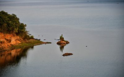L&rsquo;Ouganda accorde un permis d&rsquo;exploitation à Total
