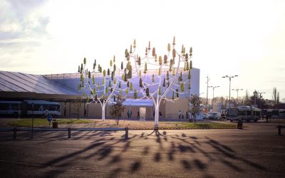 L’arbre qui révolutionne l’éolien