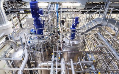 Le pétrole vert fait son chemin