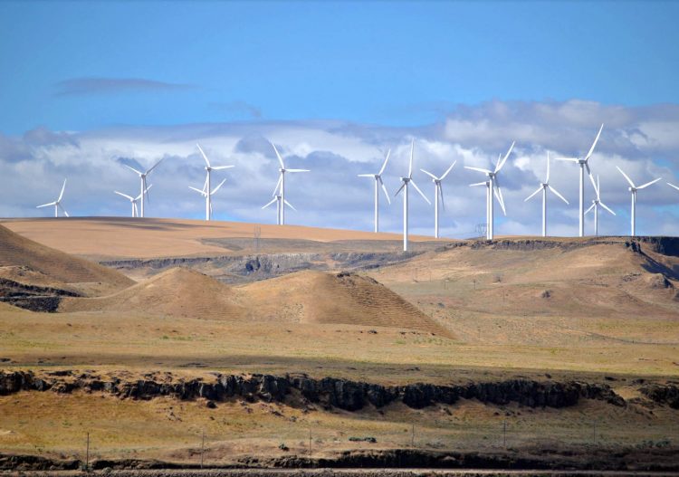 Quel avenir pour les énergies renouvelables aux États-Unis ?