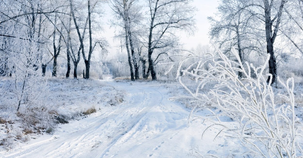 Le réseau électrique français à l&rsquo;épreuve du froid