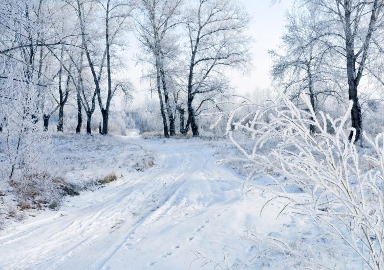 Le réseau électrique français à l&rsquo;épreuve du froid