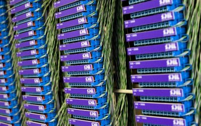 Les Smart Grids au service de l’intégration des renouvelables