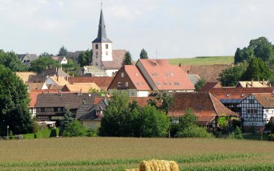 Les Territoires à Énergie Positive, entre nouveauté et bilan
