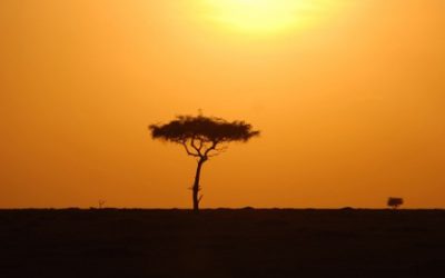 Le Kenya se lance dans l&rsquo;énergie nucléaire