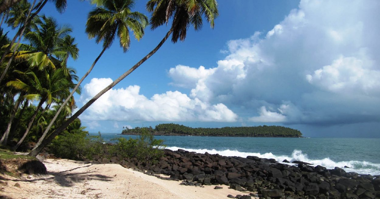 La Guyane se lance dans sa transition énergétique
