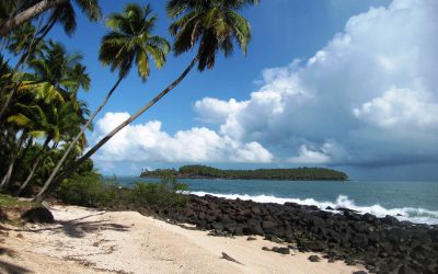 La Guyane se lance dans sa transition énergétique