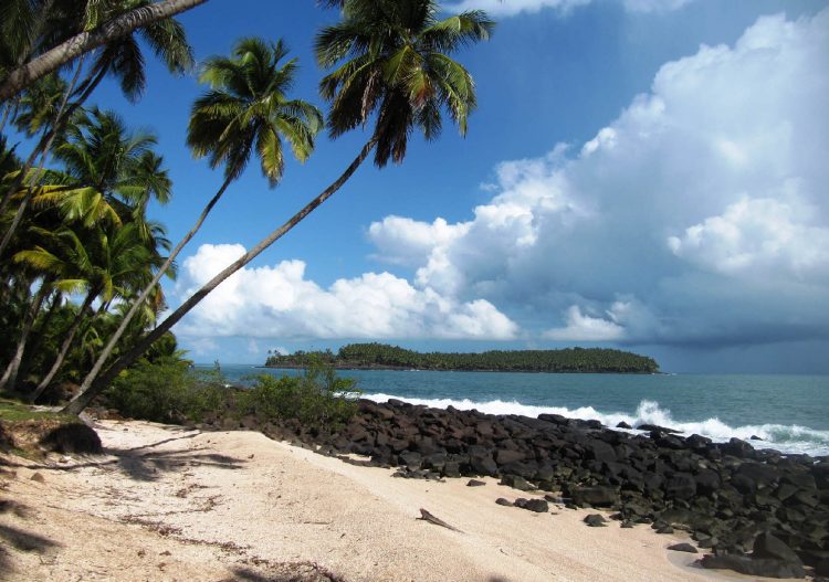 La Guyane se lance dans sa transition énergétique