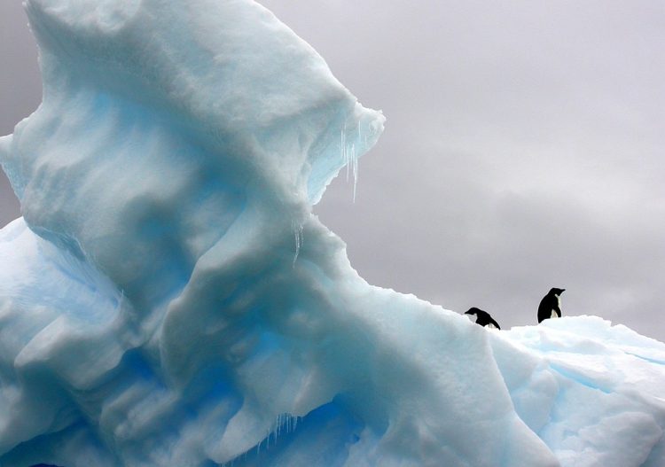 Monsieur le Président, n’oubliez pas les enseignants-chercheurs précaires sur le climat