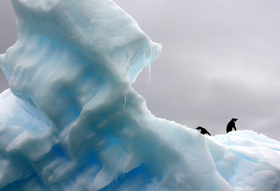 Monsieur le Président, n’oubliez pas les enseignants-chercheurs précaires sur le climat