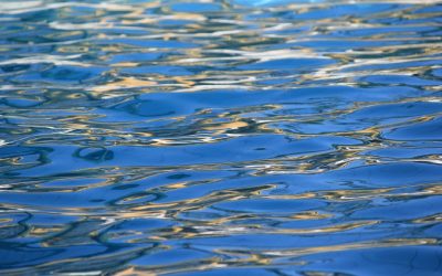 La France dans la course à la production industrielle d&rsquo;hydrogène vert