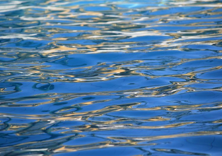 La France dans la course à la production industrielle d&rsquo;hydrogène vert