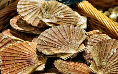 L&rsquo;énergie du vent : il ne faut pas se tromper