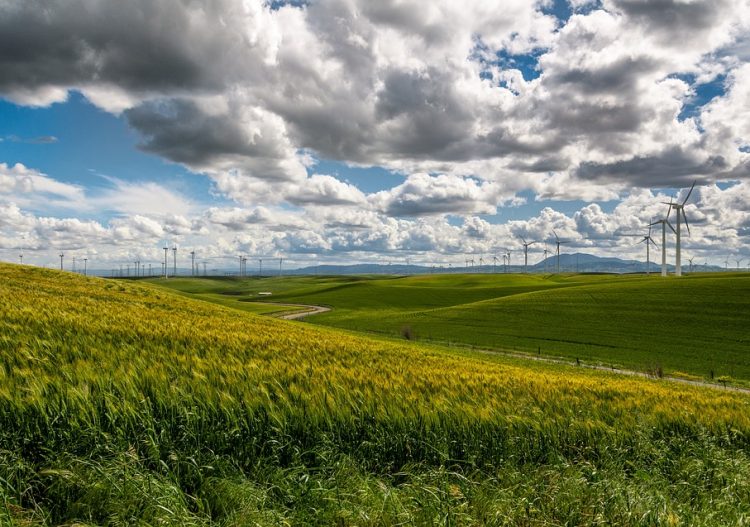 Les énergies renouvelables bientôt aussi rentables que les énergies fossiles polluantes
