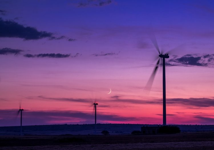 Le secteur éolien est porté par des vents favorables