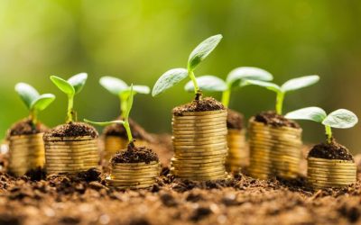 Finance écologique et éthique : place aux jeunes  ?