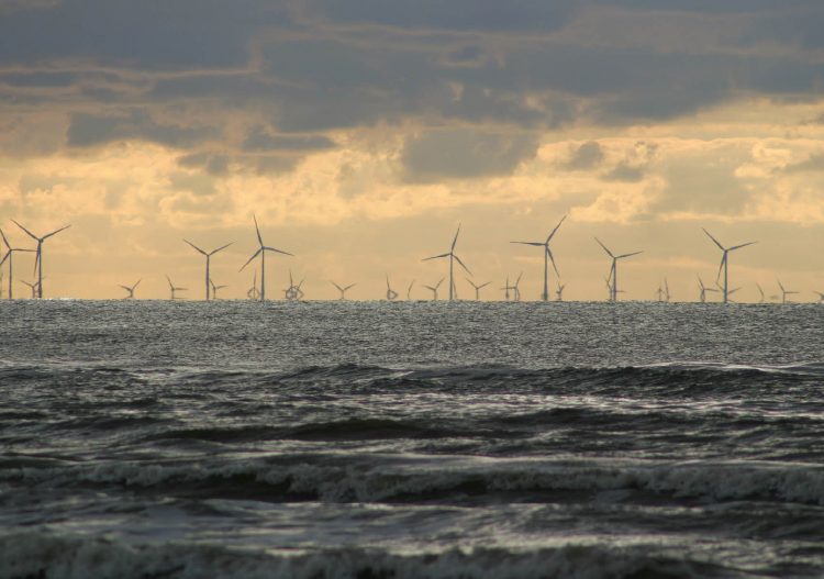 Éolien offshore : les acteurs français entre innovation et exportation