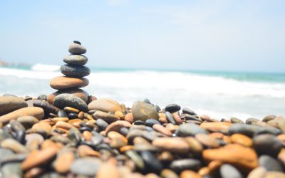 Inscription du climat à l&rsquo;article 34 de la Constitution : vrai progrès ou fausse bonne idée ?