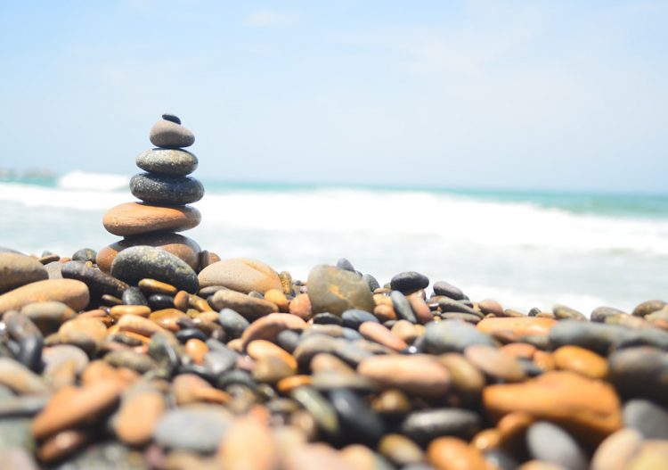 Inscription du climat à l&rsquo;article 34 de la Constitution : vrai progrès ou fausse bonne idée ?