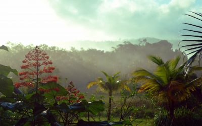 La plus grande batterie de stockage d&rsquo;électricité se construit en Guyane