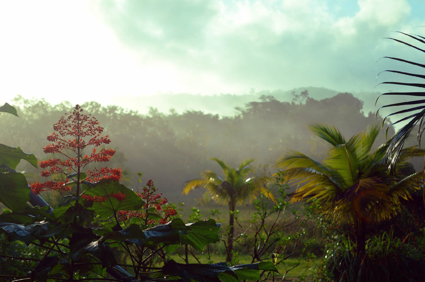 guyane-stockage-jpg