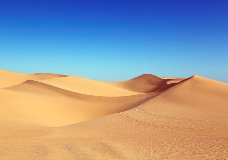 Vers un Sahara de plus en plus vert ?