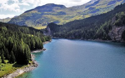 Centrales solaires flottantes : un secteur balbutiant qui inspire les industriels