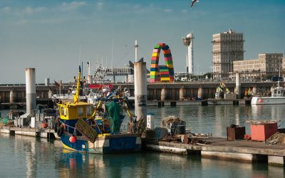 Éolien offshore : le projet de plateforme industrielle au Havre est relancé