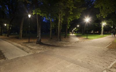 « Des éclairages plus intelligents, c&rsquo;est bon pour la biodiversité »