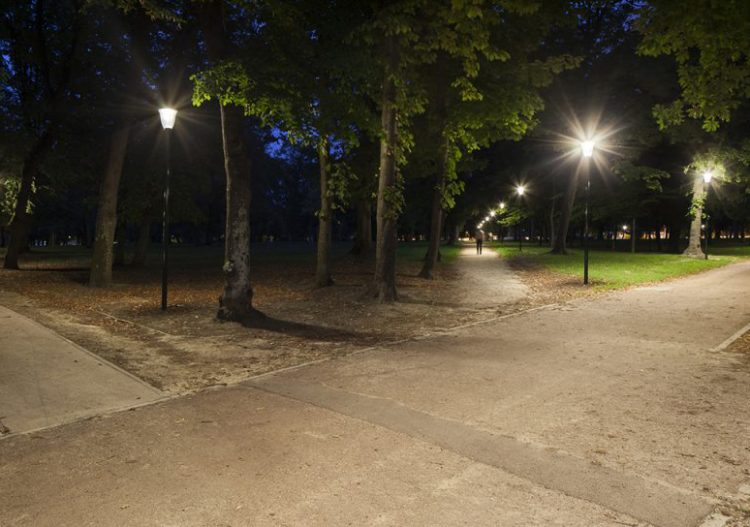 « Des éclairages plus intelligents, c&rsquo;est bon pour la biodiversité »