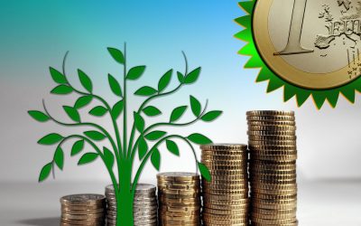 Flexibilité, la ruée vers l’or de la transition énergétique ?