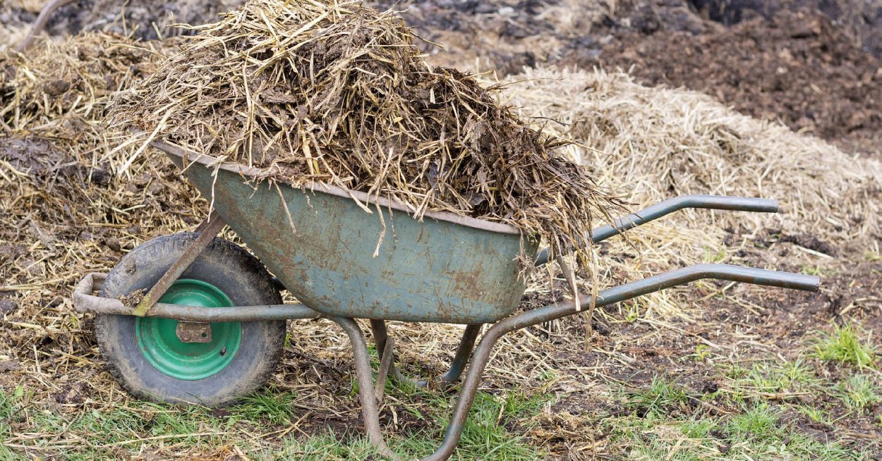 Occitanie : la première unité de méthanisation en injection sur exploitation agricole