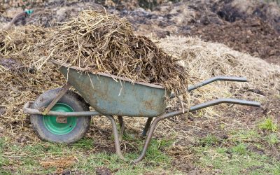 Occitanie : la première unité de méthanisation en injection sur exploitation agricole