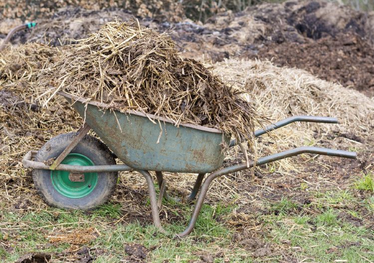 Occitanie : la première unité de méthanisation en injection sur exploitation agricole