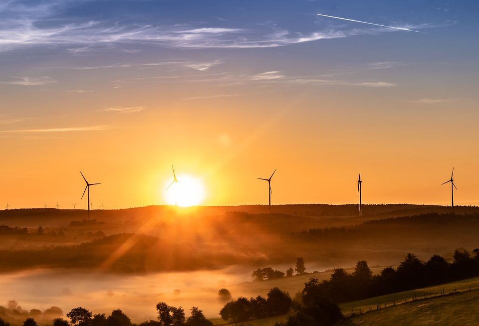 Quelles tendances se dessinent sur le marché mondial des énergies renouvelables ?