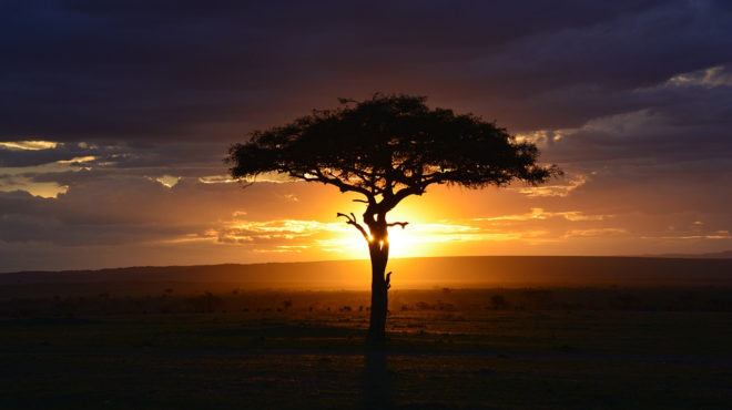 energie-afrique-solaire-jpg