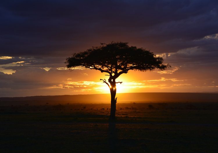 Énergie solaire en Afrique, un avenir rayonnant ?
