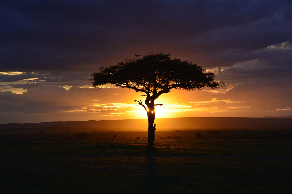 energie-afrique-solaire-jpg