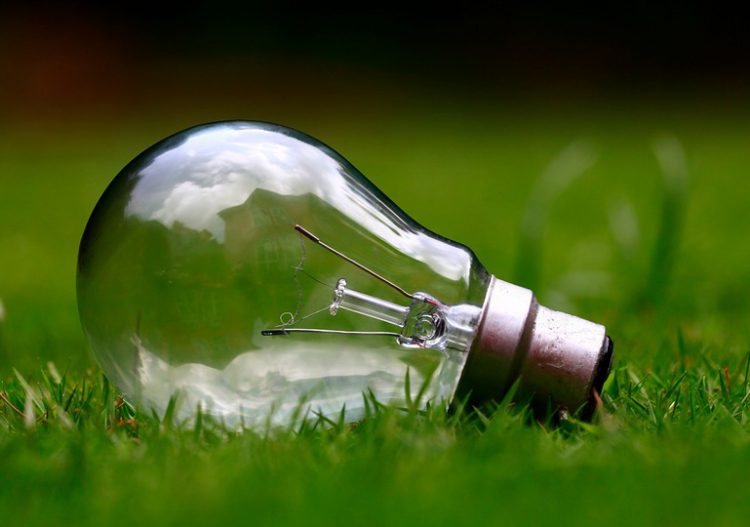 Electricité : des offres vertes et innovantes au service du consommateur ?